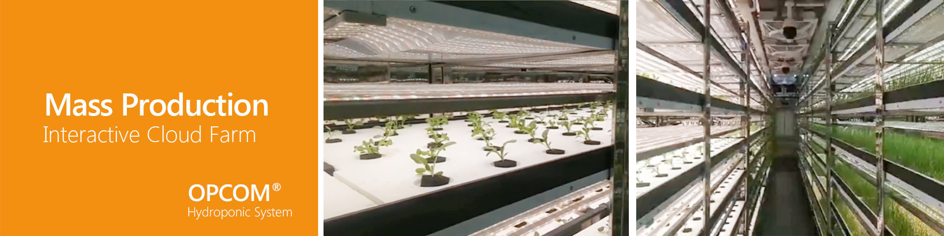 Application for Mass Production-Interactive Cloud Farm, Hydroponic System